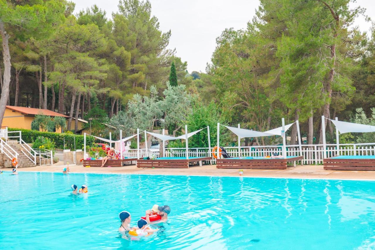 Le Pianacce Camping Village Castagneto Carducci Exteriör bild