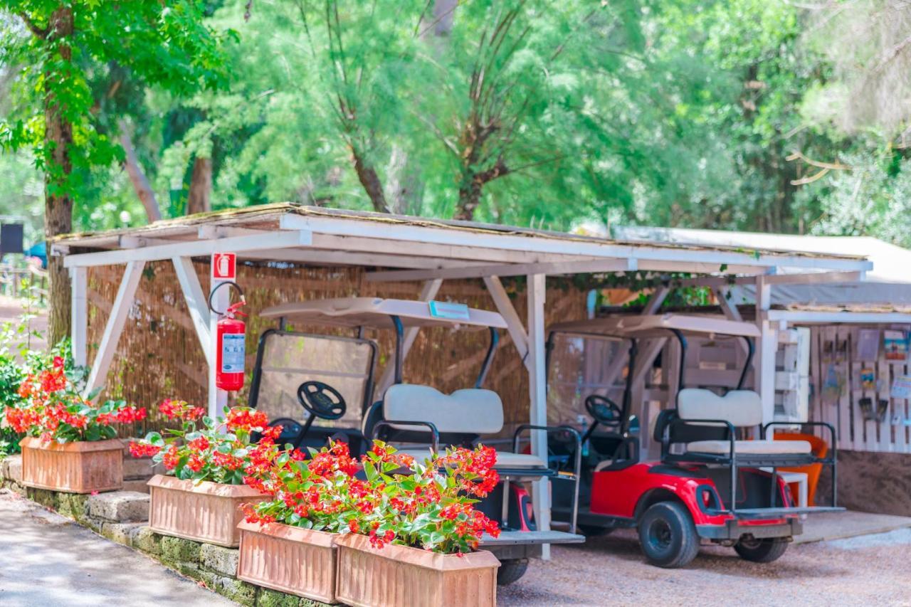 Le Pianacce Camping Village Castagneto Carducci Exteriör bild